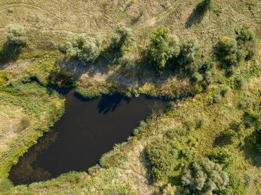 Yeşil çayırlar arasında küçük bir göl. Yaz güneşli bir gün. Hava aracı görünümü.