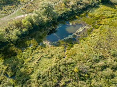 Yeşil çayırlar arasında küçük bir göl. Yaz güneşli bir gün. Hava aracı görünümü.