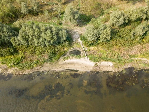 Aerial Drone View Low Trees River Summer Sunny Day — Stock Photo, Image