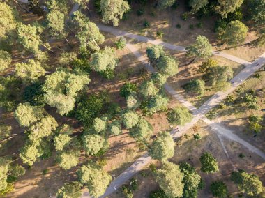 Hava aracı görüntüsü. Çamlı Kiev Parkı.