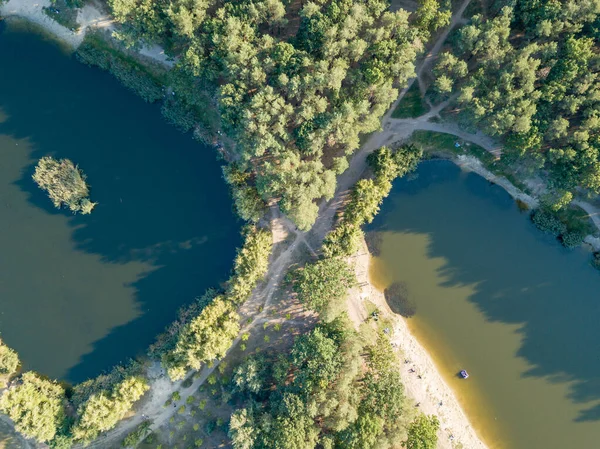 Dos Lagos Parque Entre Coníferas Vista Aérea Del Dron — Foto de Stock