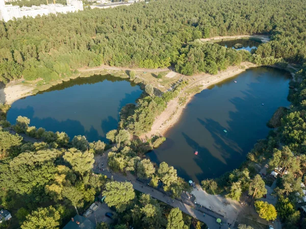 Dois Lagos Parque Entre Coníferas Vista Aérea Drones — Fotografia de Stock