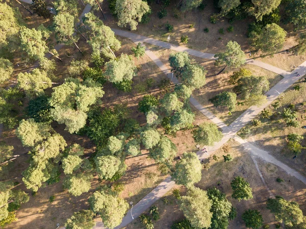 Hava aracı görüntüsü. Çamlı Kiev Parkı.