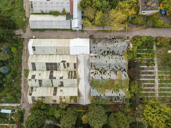 Vue Aérienne Sur Drone Serres Automne — Photo