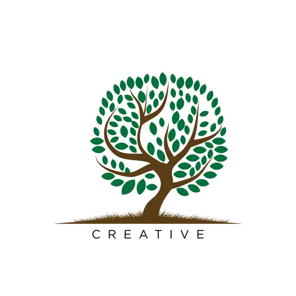 Tree Life Logo Design Vector Icon — Stock Vector