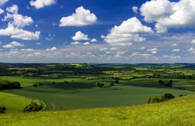 Parlak güneş ışığı yeşil bitkileri ve Dorset, Wiltshire ve Somerset sınırlarındaki Blackmore ve Wardour vadilerin otlak ısıtır