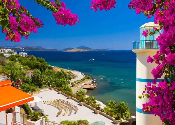 Bougainvillea Enquadra Uma Vista Sobre Uma Baía Ortakent Perto Bodrum — Fotografia de Stock