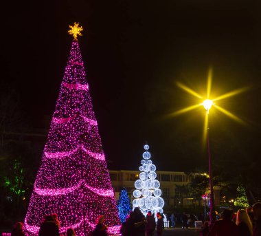 Bournemouth bahçelerde Noel ağaçları