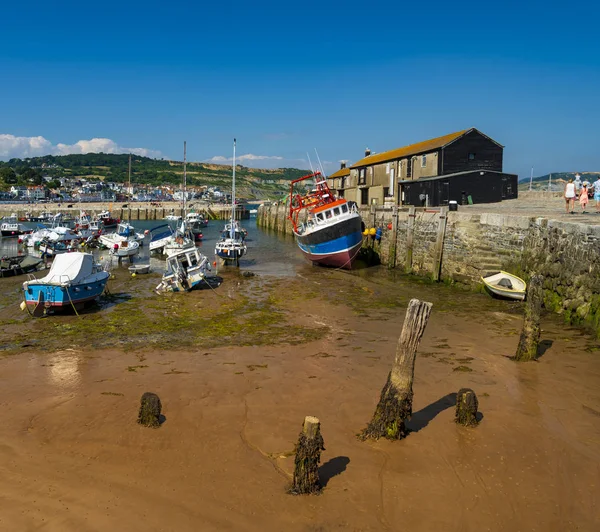 Lyme Regis harbour and Cobb — Stock Photo, Image