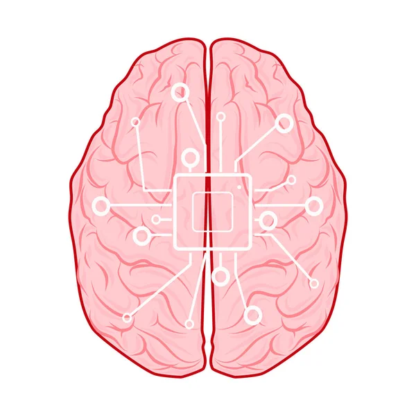 Iconos Del Procesador Cerebros Vectoriales Para Sitios Web Usa Tus — Archivo Imágenes Vectoriales