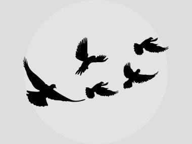 Beyaz arka planda uçan siluet kuşlar. vektör illüstrasyonu