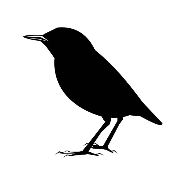 Silhouette Eines Stehenden Vogels Vektor Illustration Eps — Stockvektor