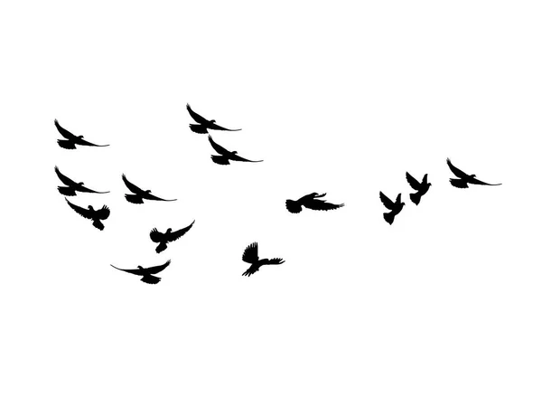 Silueta Flock Flying Birds Aves Voladoras Sobre Fondo Blanco Ilustración — Vector de stock