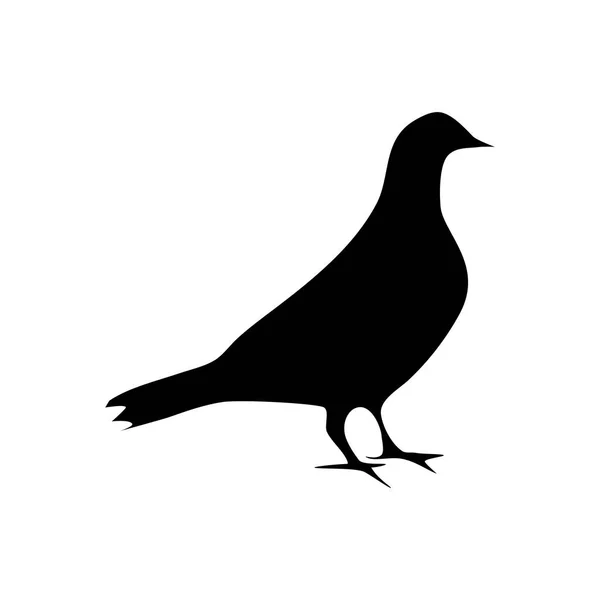 Silhouette Pigeon Stanting Bird Silhouette White Background Vector Illustration Eps — Stock Vector