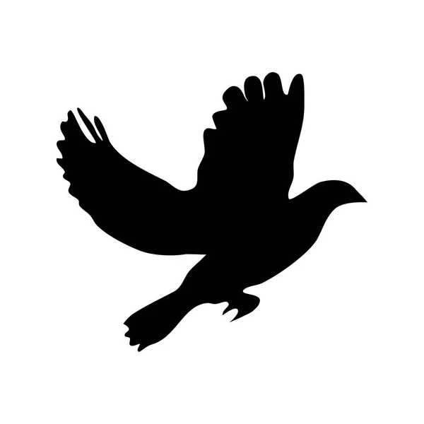 Silhouette Uccello Volante Sfondo Bianco Silhouette Piccione Che Vola Illustrazione — Vettoriale Stock