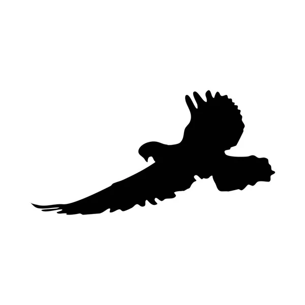 Vliegende Vogel Silhouet Een Witte Achtergrond Silhouet Duif Vliegen Vector — Stockvector