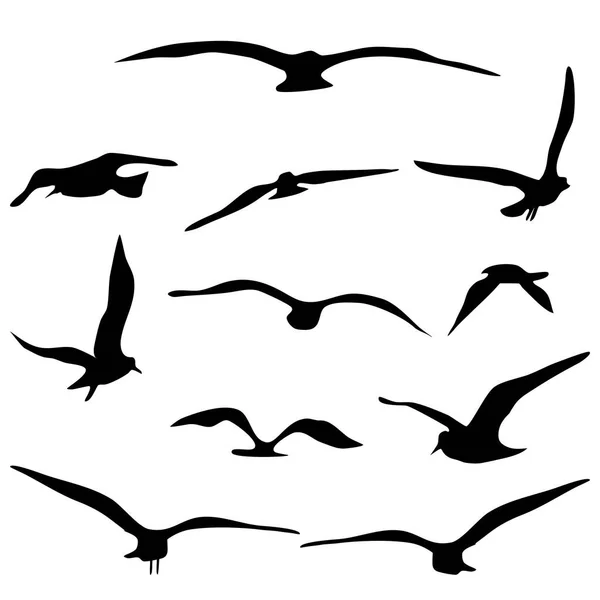 Silhouet Van Vliegende Vogels Isoleren Een Witte Achtergrond Vector Illustratie — Stockvector