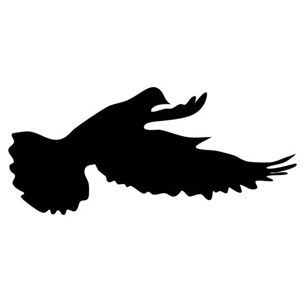 Silueta Pájaro Volador Sobre Fondo Blanco Paloma Silueta Volando Ilustración — Vector de stock