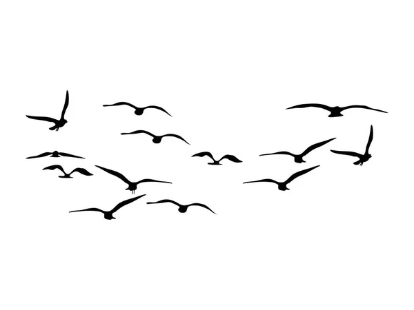 Silueta Flock Flying Birds Aves Voladoras Sobre Fondo Blanco Ilustración — Vector de stock