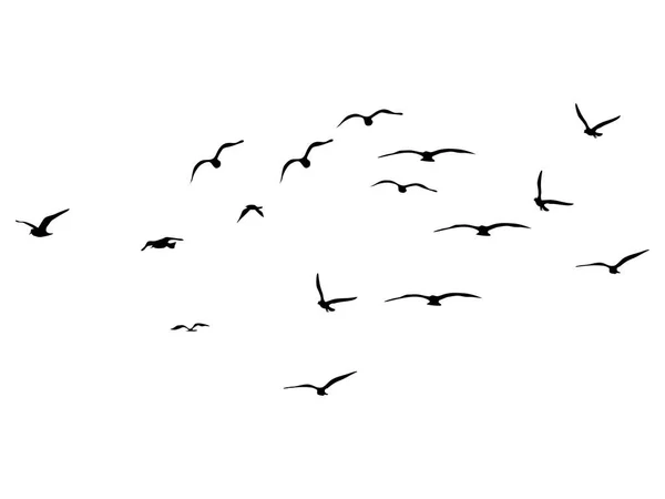 Silueta Flock Flying Birds Aves Voladoras Sobre Fondo Blanco Ilustración — Vector de stock