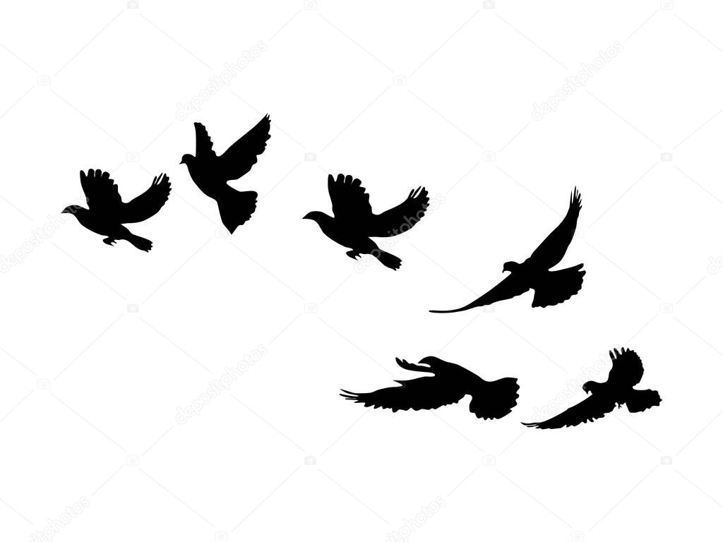 silhouette Flock of Flying Birds. flying birds on white background. vector illustration eps