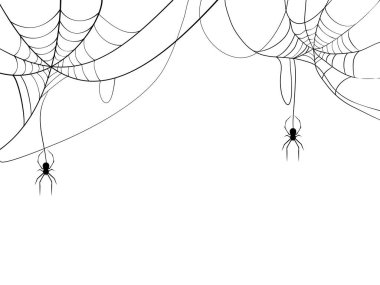 Black spider and spider web. Scary spiderweb of halloween symbol. Isolated on white background. vector illustration eps clipart