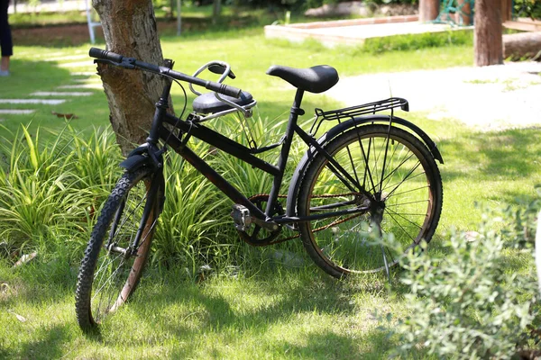 Παλιό Πάρκο Ποδήλατο Στον Κήπο Φόντο Δέντρο — Φωτογραφία Αρχείου