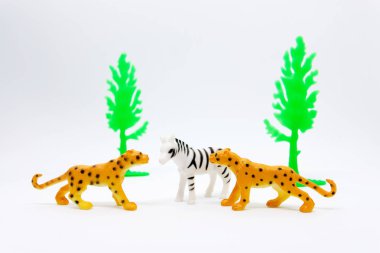 Leopar ve Zebra izole üzerinde beyaz arka plan, plastik hayvan oyuncaklar modeli