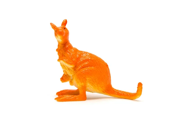 Känguru Modell Isoliert Auf Weißem Hintergrund Tierspielzeug Plastik — Stockfoto