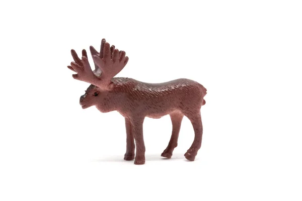 Moose Model Terisolasi Pada Latar Belakang Putih Mainan Hewan Plastik — Stok Foto
