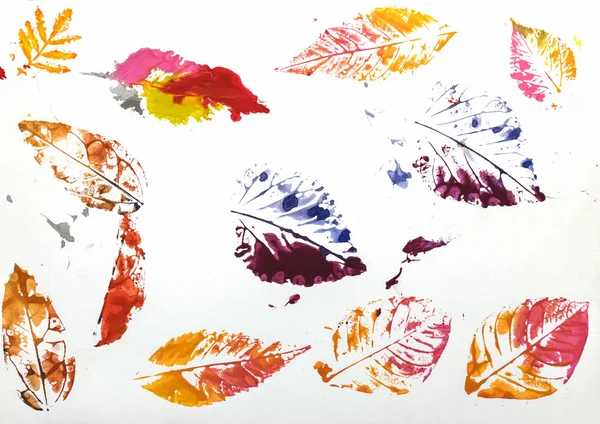 Impression colorée de feuilles isolées sur fond blanc — Photo