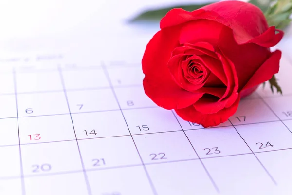 Pojedynczy Kwiat Róży Stronie Kalendarza Walentynki Walentynki Koncepcja Karty — Zdjęcie stockowe