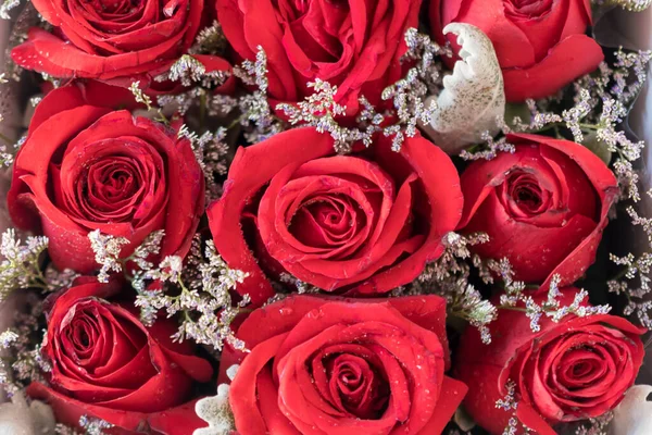 Romantic red roses in a square white gift box. on white background