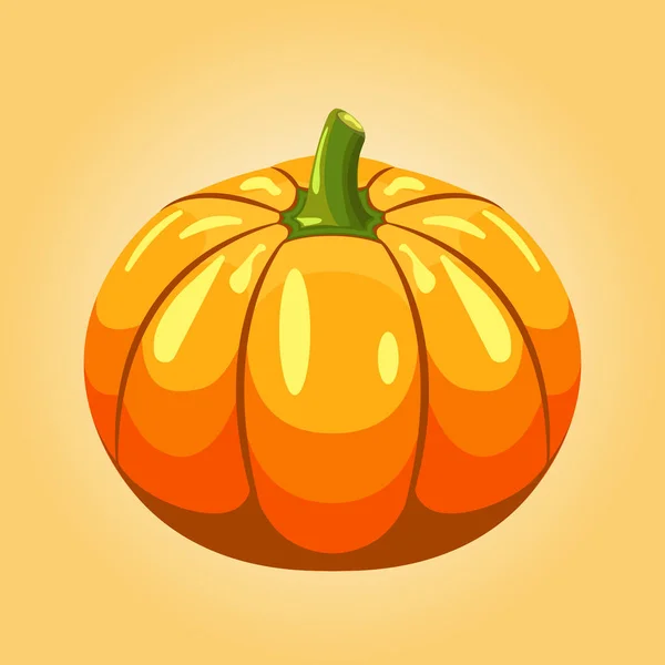 Pumpkin Isolated Vector Illustration Eps10 — Stock Vector