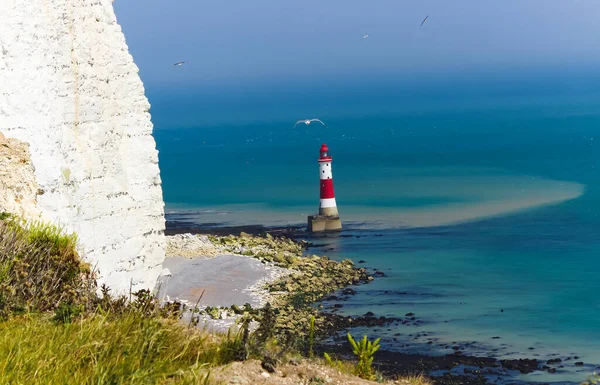 Lighthouse Flying Seagulls Beachy Head Seaside — Stock Photo, Image
