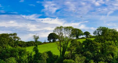 Manzaralı kırsallar, mavi gökyüzü bulutları ormanlar ve kuşlar. Özgürlük kavramı.