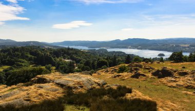 Vadi, göl, koyun ve doğa için yukarıdan görüntü. Lake District, Ulusal Park.