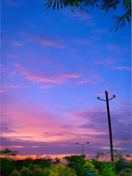 Силуэт Деревьев Сумерках Небом Облаками Восходом Солнца Панорамный Вид — стоковое фото