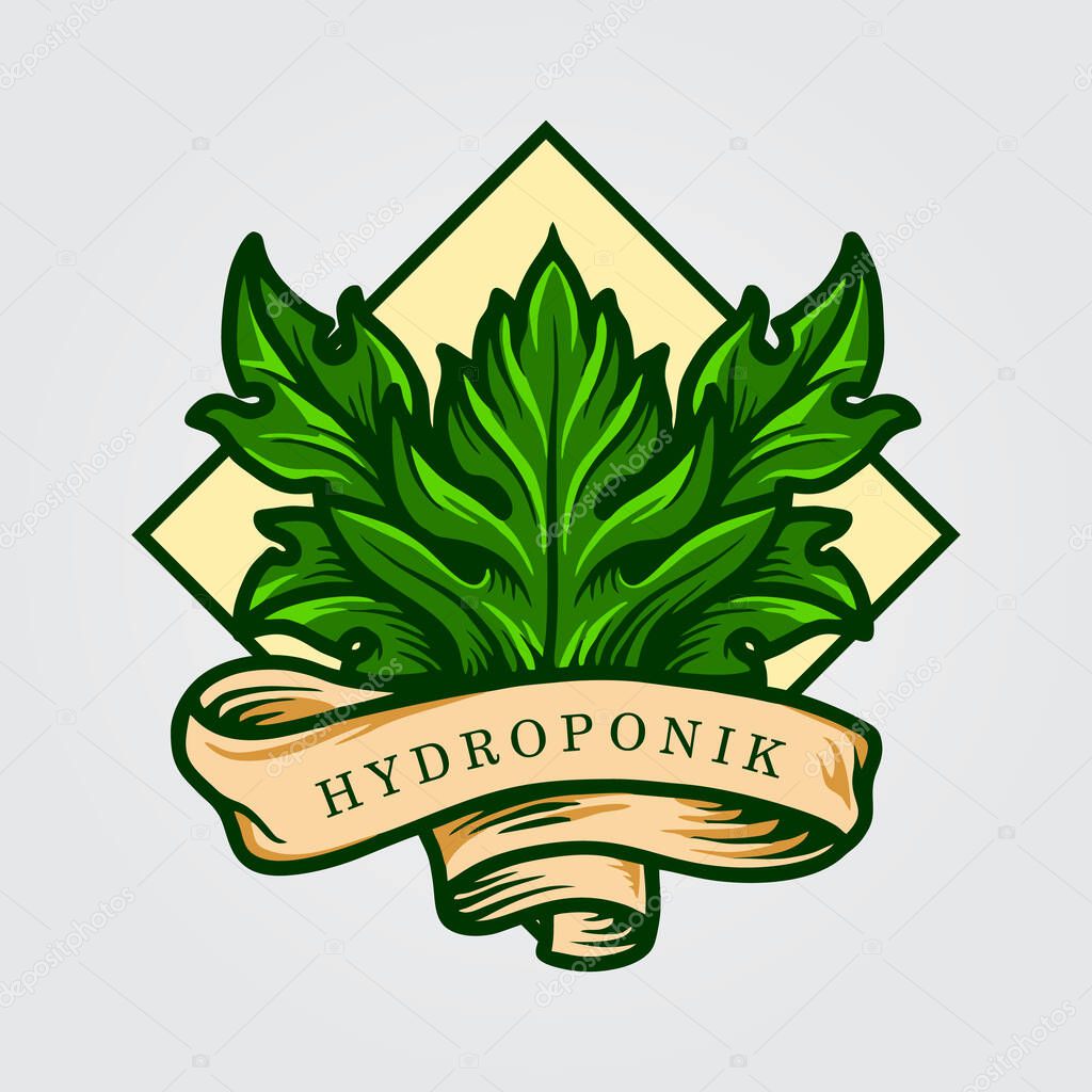 Hydroponik Leaf Logo with ribbon