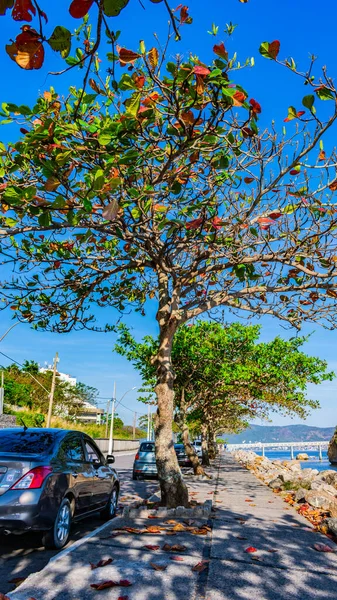 Parte Orla Boa Viagem Niteroi Rio Janeiro Brasil Essa Regio — Fotografia de Stock