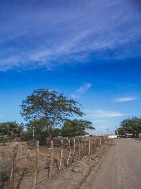 Brezilya 'nın kırsal kesiminde bitki biyomu olarak katinga bulunur. Yarı kurak tropikal iklim, Brezilya 'nın kuzeydoğu iç kesiminin tipik iklimidir..