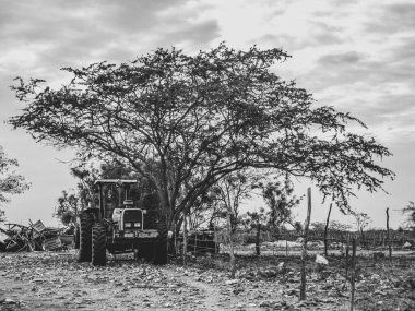 Brezilya 'nın kırsal kesiminde bitki biyomu olarak katinga bulunur. Yarı kurak tropikal iklim, Brezilya 'nın kuzeydoğu iç kesiminin tipik iklimidir..
