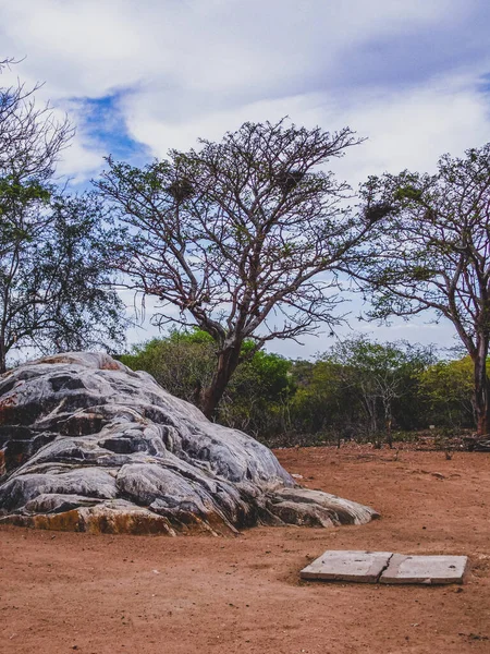 Região Rural Sertao Brasil Tem Caatinga Como Bioma Vegetal Clima — Fotografia de Stock