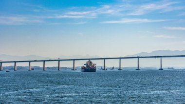 Başkan Costa e Silva Köprüsü (daha çok Rio / Niteroi Köprüsü olarak bilinir), Güney Yarımküre 'deki en uzun köprüdür. Brezilya 'nın Rio de Janeiro eyaletindeki Guanabara Körfezi' ni geçer..