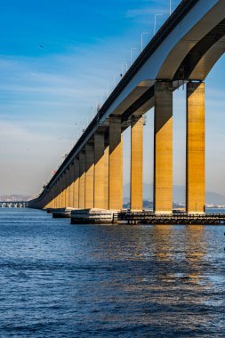 Başkan Costa e Silva Köprüsü (daha çok Rio / Niteroi Köprüsü olarak bilinir), Güney Yarımküre 'deki en uzun köprüdür. Brezilya 'nın Rio de Janeiro eyaletindeki Guanabara Körfezi' ni geçer..