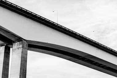 Başkan Costa e Silva Köprüsü (daha çok Rio / Niteroi Köprüsü olarak bilinir), Güney Yarımküre 'deki en uzun köprüdür. Brezilya 'nın Rio de Janeiro eyaletindeki Guanabara Körfezi' ni geçer..