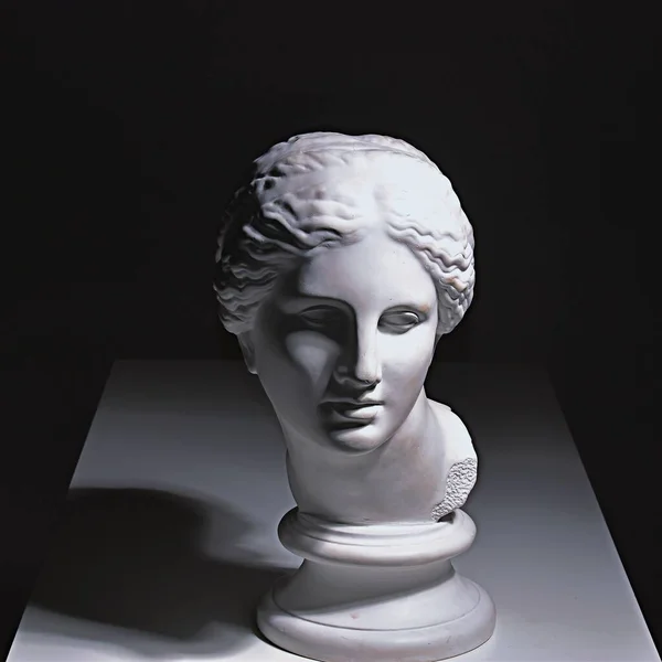 Plaster head model cast for drawing and perspective on fine art lessons at studio — Stock Photo, Image