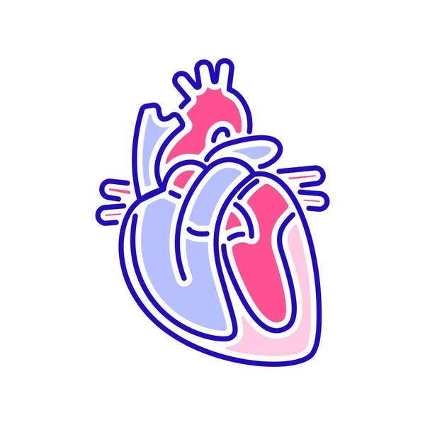 Anatomie Herz-Kreislauf-System Farbe Linie Symbol. Das innere Organ des Menschen. Kardiologie. Umriss-Piktogramm für Webseite, mobile App, Promo. — Stockvektor