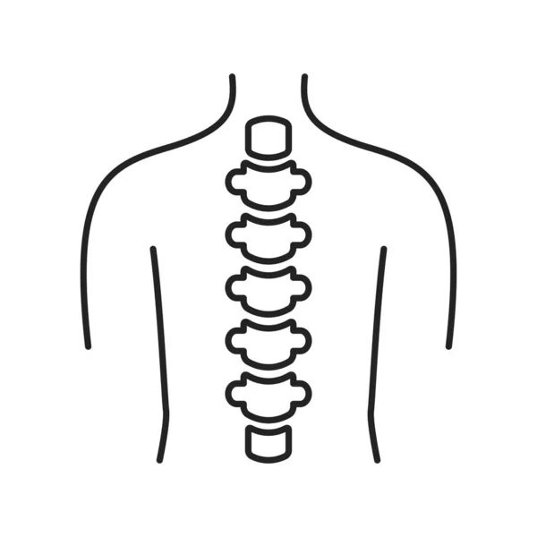 Anatomi tulang belakang manusia Ikon garis hitam. Layanan kesehatan. Elemen vektor terisolasi. Outline piktogram untuk halaman web, aplikasi seluler, promo. - Stok Vektor