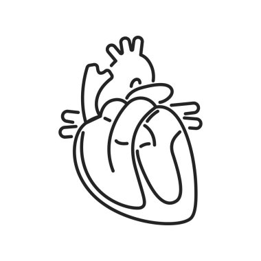 Anatomi kardiyovasküler sistem siyah çizgi ikonu. İnsan iç organı. Kardiyoloji. Web sayfası, mobil uygulama, tanıtım için resim çizelgesi.